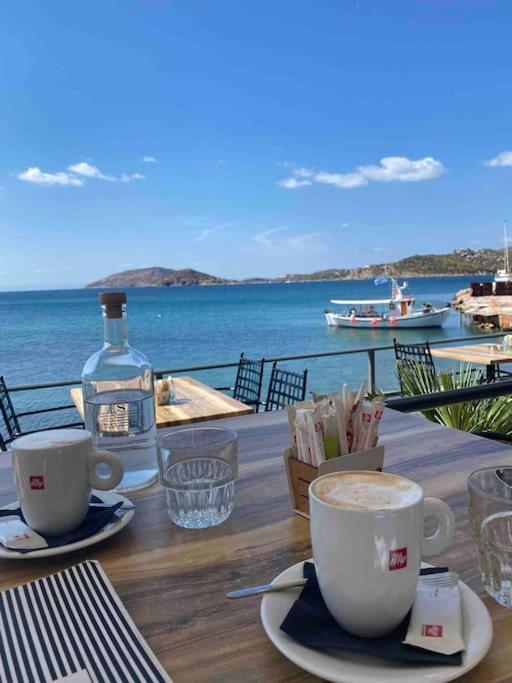 Riviera Beach, Seaside Spacious Apt. Anavyssos Ngoại thất bức ảnh